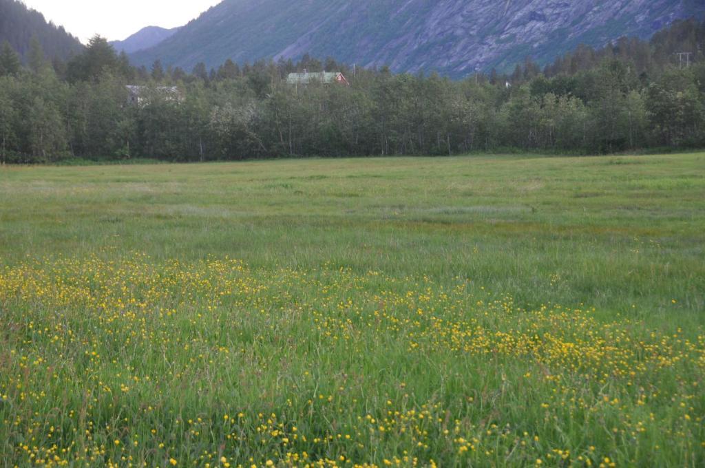 Nigardsbreen Lodge Luster المظهر الخارجي الصورة